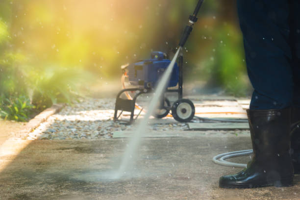 Best Roof Cleaning and Mildew Removal in Elsa, TX